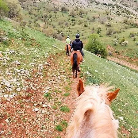 Lodge Achaiko Chorio *