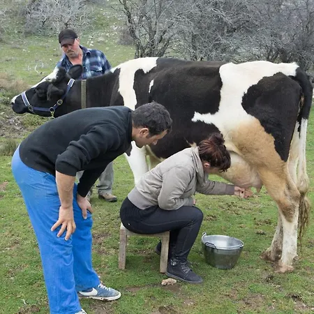 Achaiko Chorio